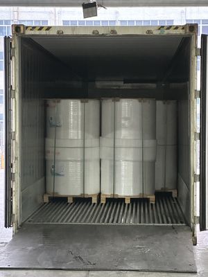 FOCUS Prime 100% 輸入 純木製パルス 45g/48g/50g/55g/65g 熱紙 ジャンボロール