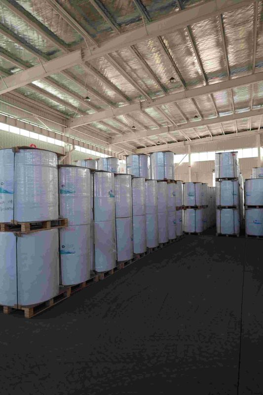 BPA-Free Thermal Paper Roll for POS Receipts, ATM printer paper, oil-resistant thermal roll – 5+ Year Image Life