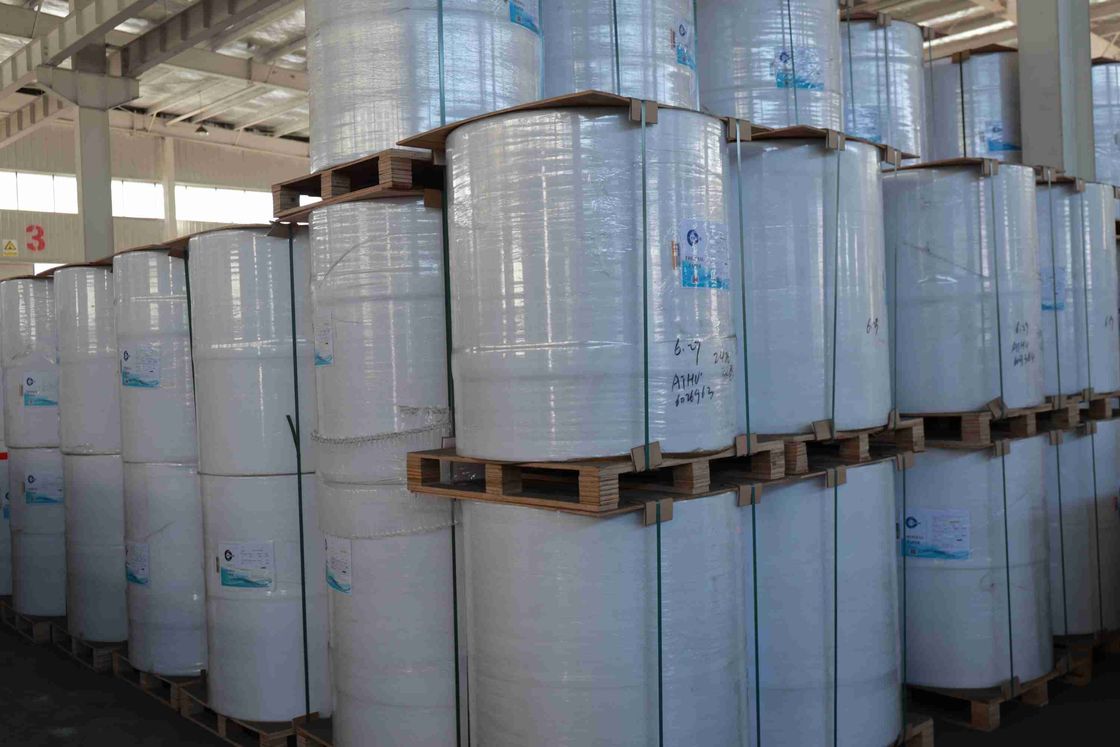 BPA Free Focus Brand Thermal Paper High Smoothness Suitable Optical Density 100% Imported Wood Pulp