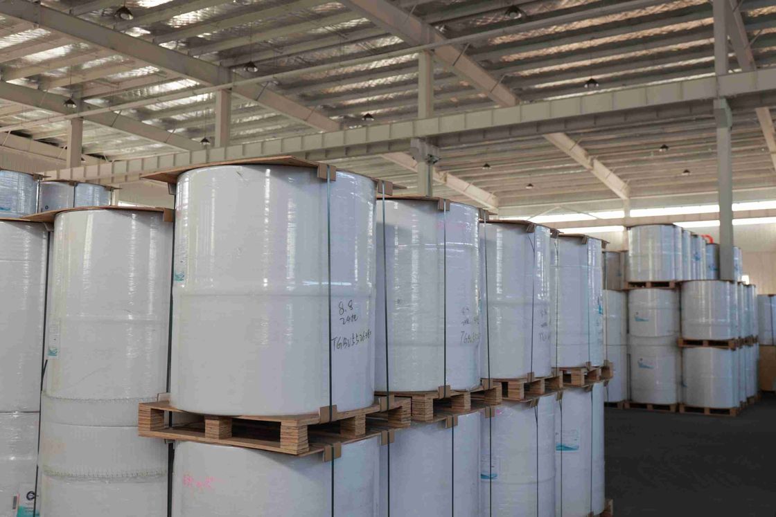 BPA-Free Thermal Paper Roll for POS Receipts – 5+ Year Image Life