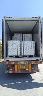 NCRコピー紙 Aグレード 小型黒/青画像 50/55/75GSM 無炭素紙