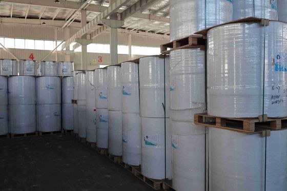 BPAフリー フォーカスブランド サーマルペーパー 高い滑らかさ 適切な光学濃度 100%輸入木材パルプ